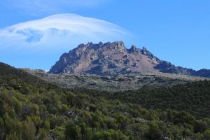 image10