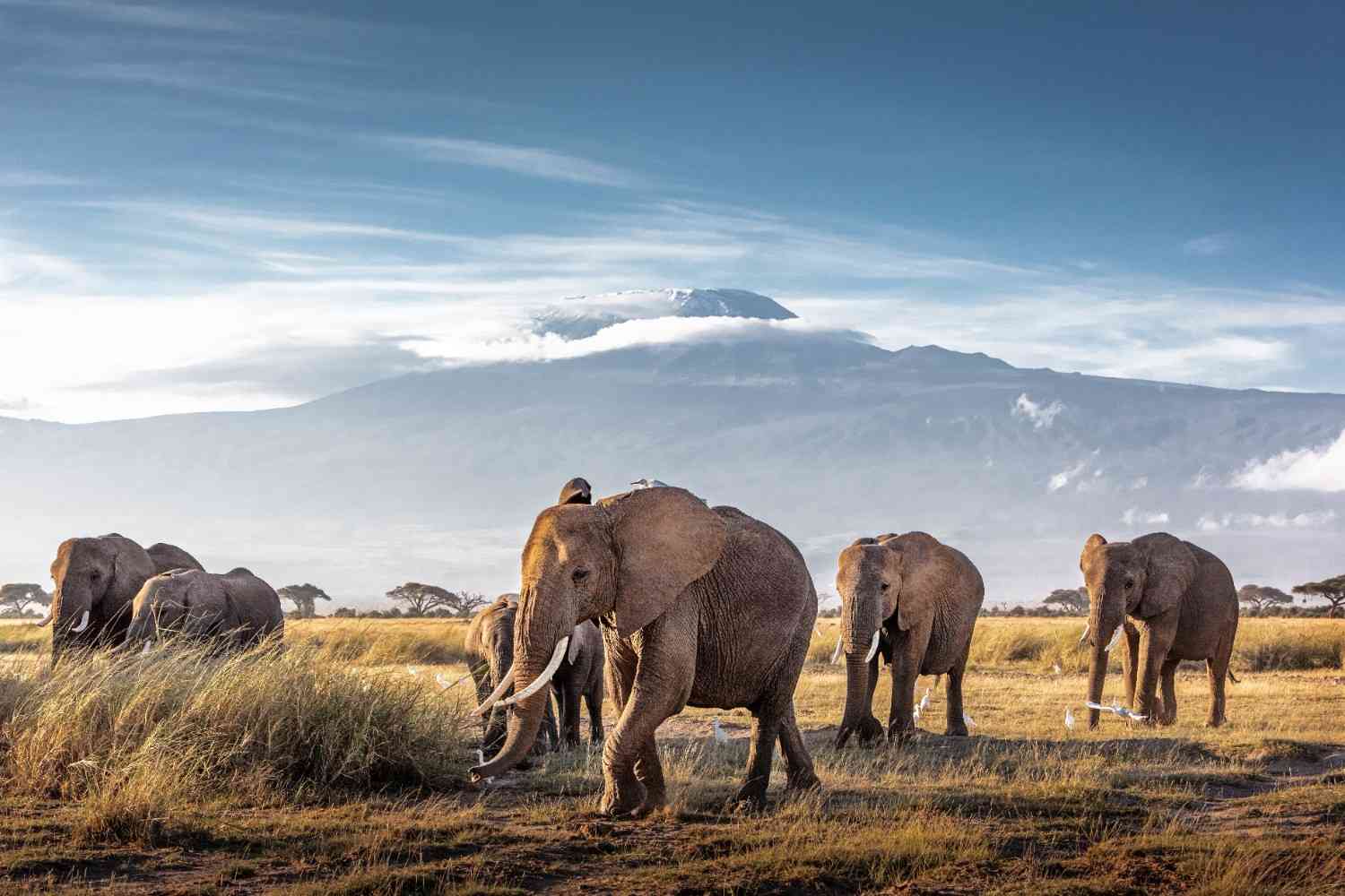 Mount Kilimanjaro