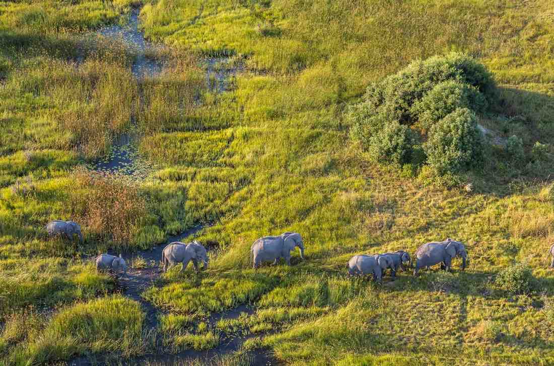 Tarangire National Park