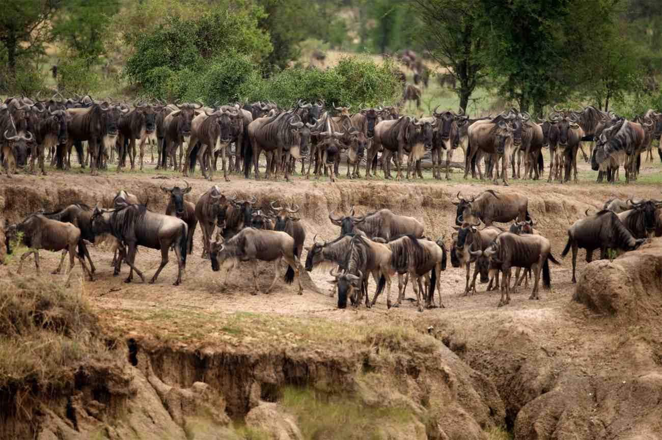 Serengeti National Park