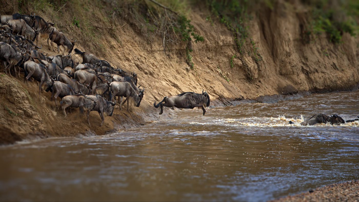 Serengeti National Park