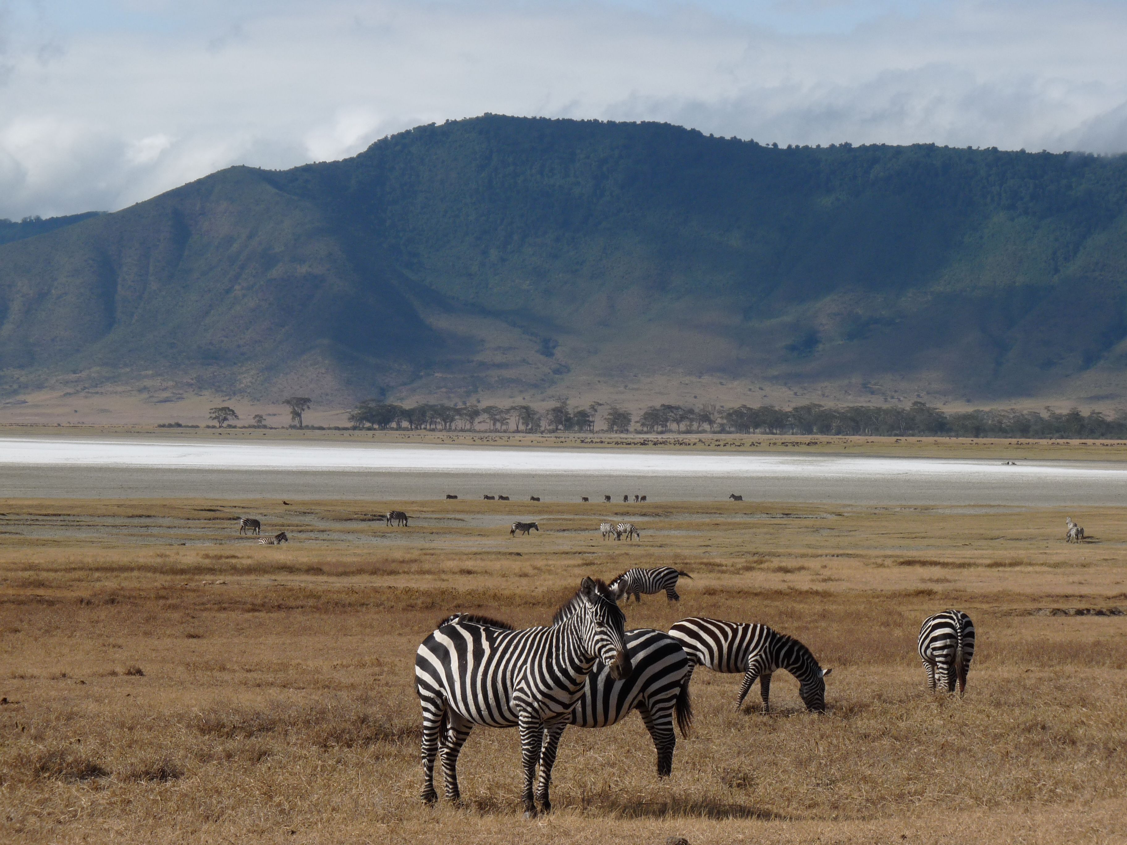 Caldera & Miombo Safari